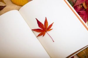maple leaf, book, reading-638022.jpg