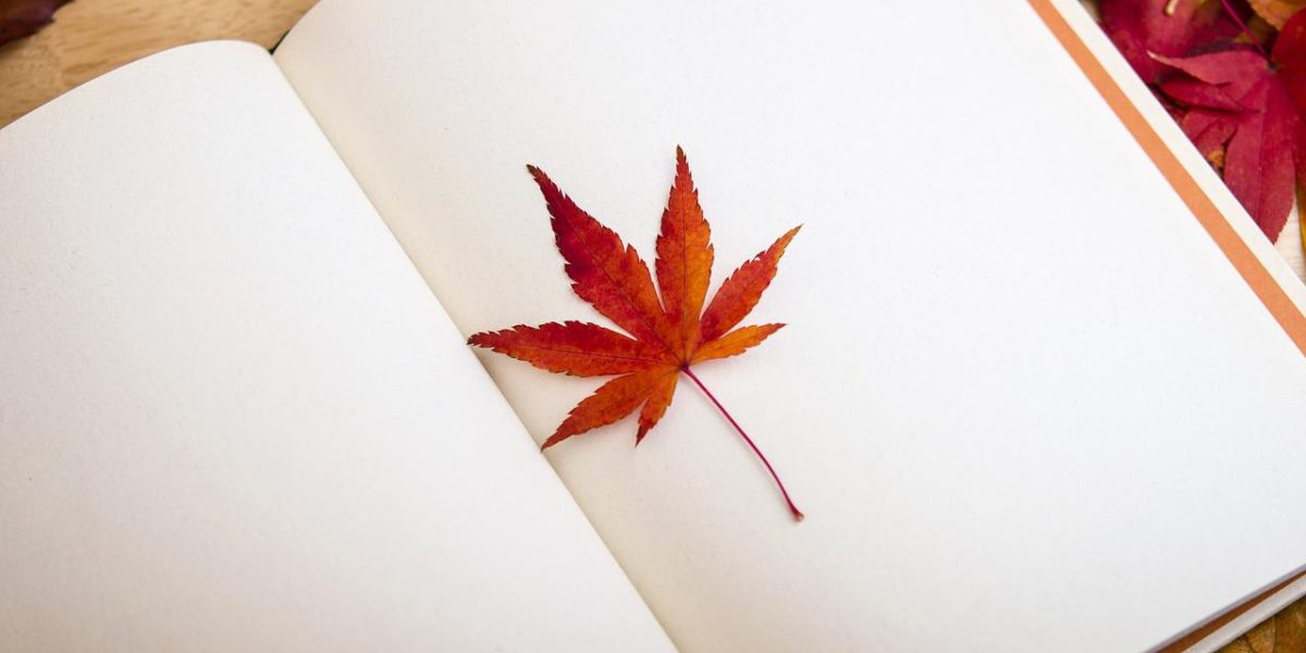 maple leaf, book, reading-638022.jpg